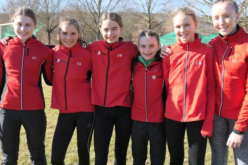 24.02.2019: Bayerische Crosslauf-Meisterschaften in Kemmern
