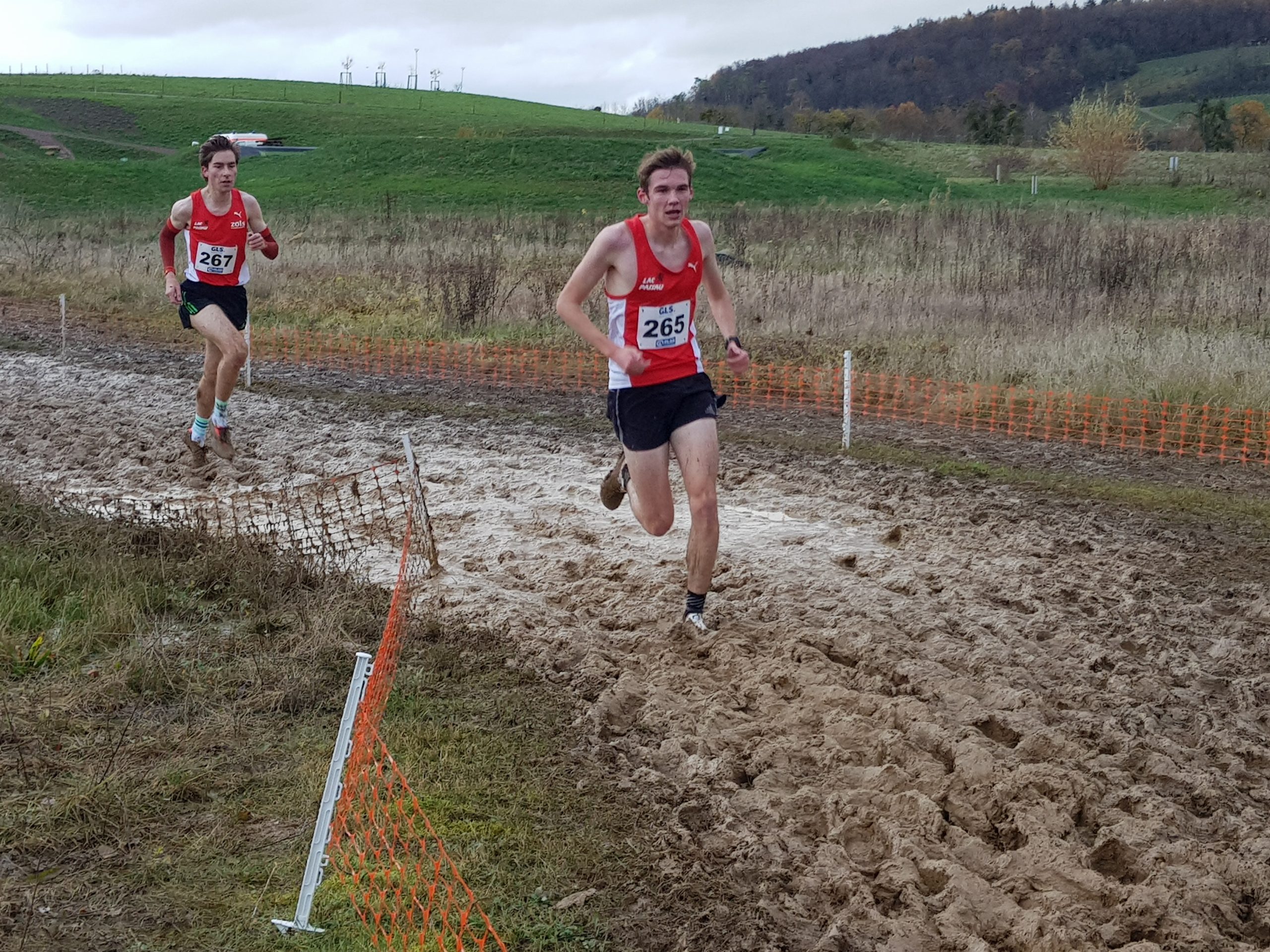 25.11.2023: Deutsche Crosslauf-Meisterschaften in Perl